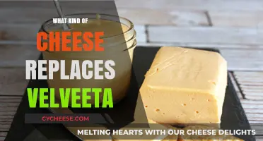 Velveeta Alternatives: Discover the Best Cheeses for Your Favorite Dishes