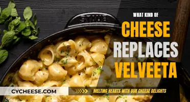 Velveeta Alternatives: Cheeses That Can Stand In