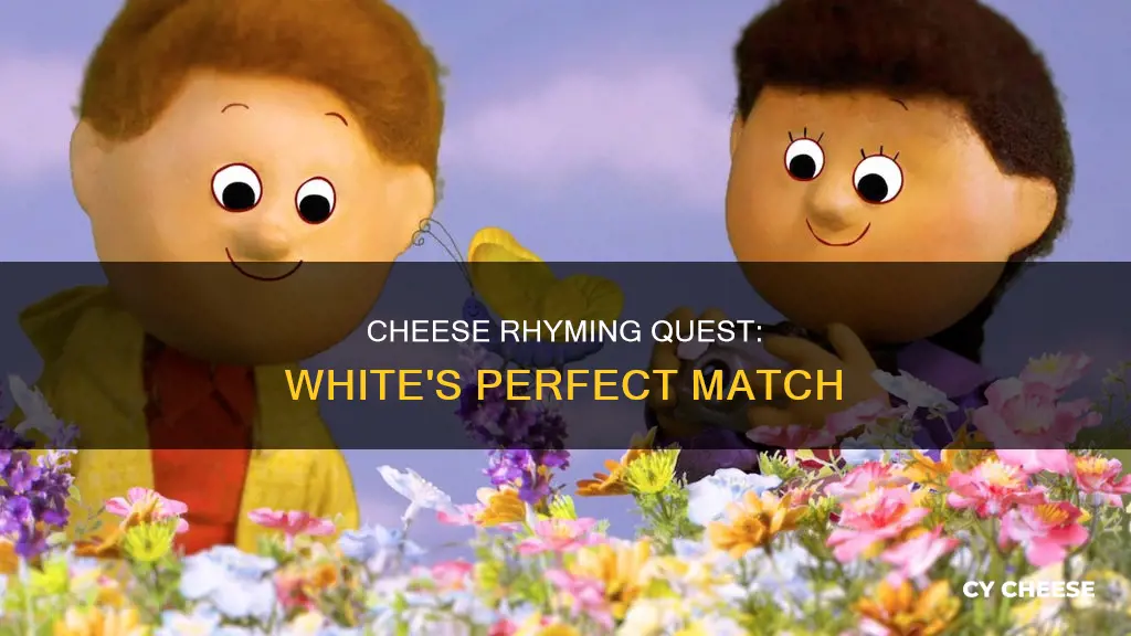 what kind of cheese rhymes with white