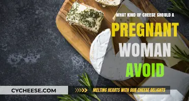 Pregnant? Avoid These Cheeses for a Healthy Pregnancy