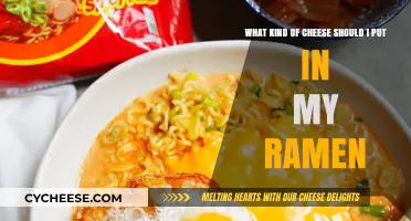 The Ultimate Guide to Choosing the Perfect Cheese for Your Ramen