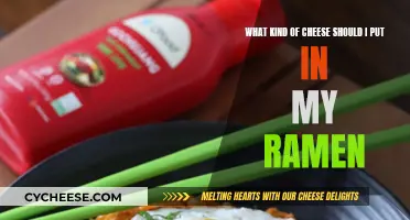 Ramen and Cheese: The Ultimate Melty Mix