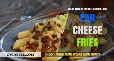 Cheese Fries: Choosing the Perfect Cheese