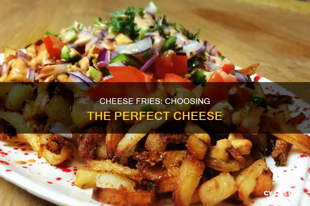 what kind of cheese should i use for cheese fries