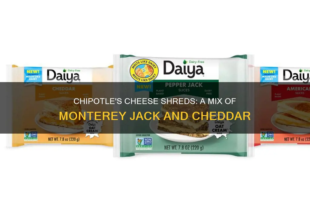 what kind of cheese shreds does chipotle use