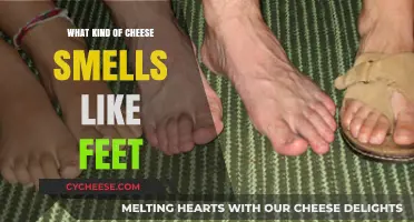 The Smelly Mystery: Cheese with a Foot-Like Aroma