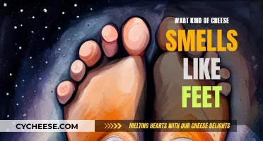 Cheese That Smells Like Feet: What's the Stink?