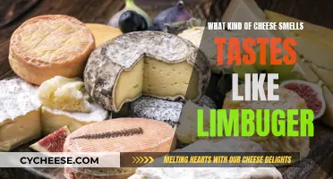 The Stinky Cheese Club: Limburger's Pungent Pair