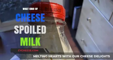 Uncovering the Secrets: What Kind of Cheese Comes from Spoiled Milk?