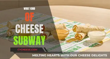 The Cheesy Truth: Subway's Secret Cheese Sauce