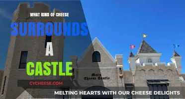 The Enigmatic Cheese of Castle Walls