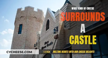 Cheese Fortification: Castle Moat of Dairy Deliciousness