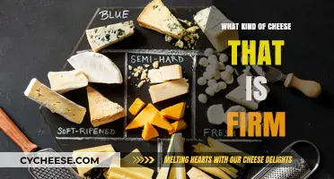 Exploring the World of Firm Cheeses: A Guide to Hard Cheeses