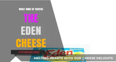 Unveiling Eden's Cheesy Delight: A Guide to Its Unique Flavor