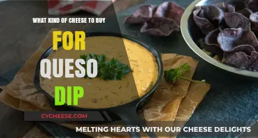 Cheese Guide: Perfecting Your Queso Dip