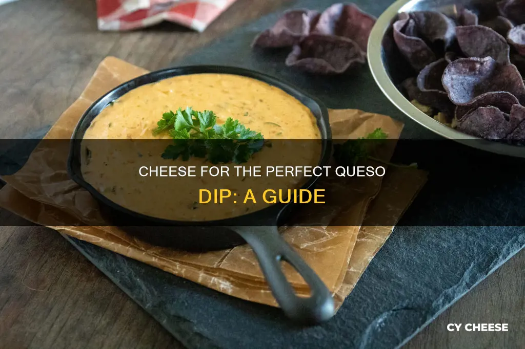 what kind of cheese to buy for queso dip