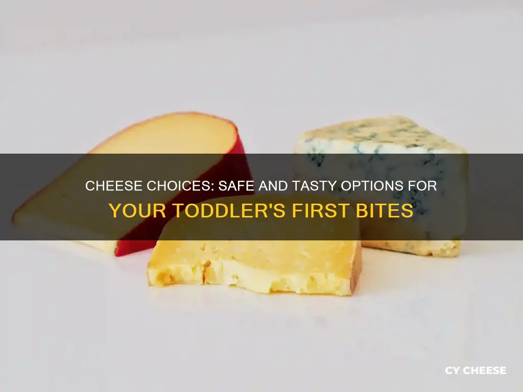 what kind of cheese to feed 1 year old