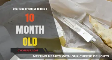 Safe and Tasty: Cheese Choices for Your Toddler's First Bites