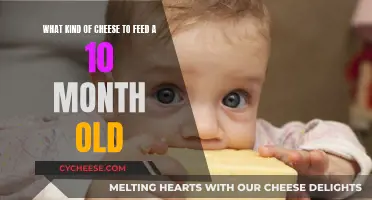 Cheese for Babies: What's Safe and What's Not?