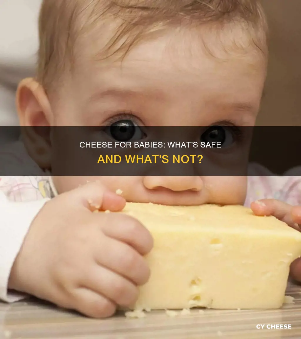 what kind of cheese to feed a 10 month old