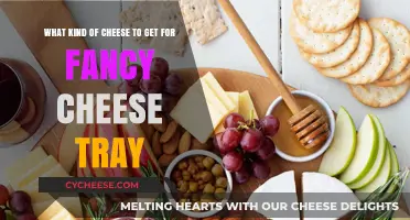 Elevate Your Cheese Board: A Guide to the Best Varieties for a Fancy Tray