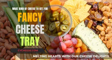 Cheese Tray Connoisseur: Selecting the Perfect Cheeses for Your Platter