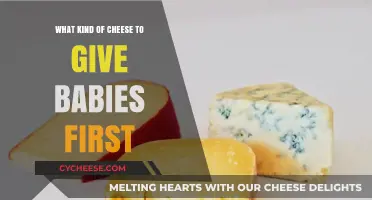 First Cheese for Baby: Soft, Mild, and Safe Choices