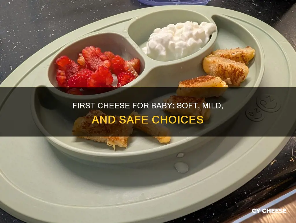 what kind of cheese to give babies first