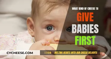 Introducing Cheese to Babies: Which Types Are Safe?