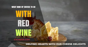 Cheese and Wine Pairing: A Guide to Red Wine Companions