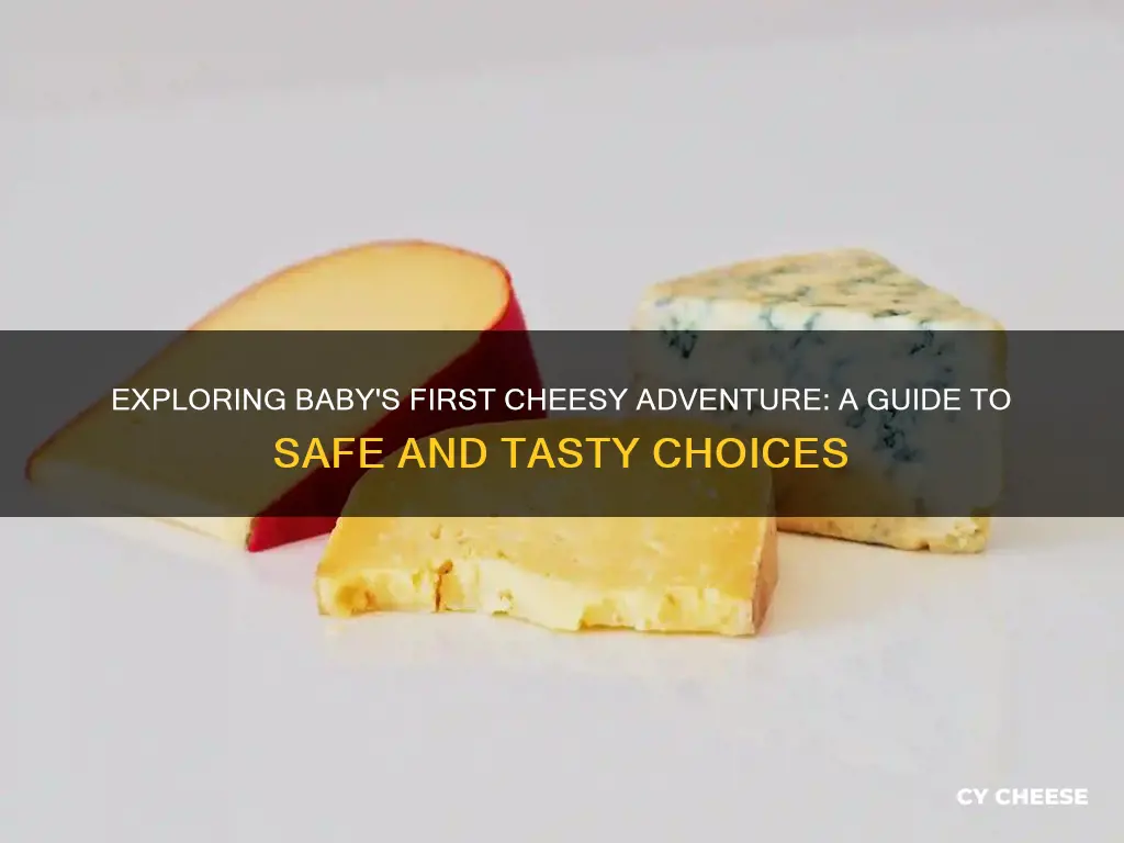 what kind of cheese to introduce to baby