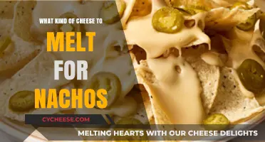 Cheese Selection Guide: Perfect Melts for Delicious Nachos