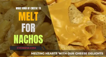 Melting Cheese for Nachos: The Best Cheesy Options