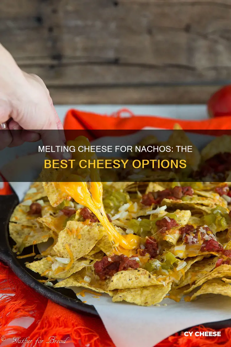 what kind of cheese to melt for nachos