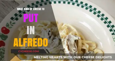 The Ultimate Guide to Choosing the Best Cheese for Alfredo Sauce