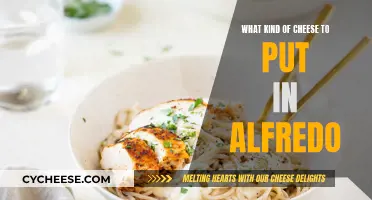 Cheese Options for a Perfect Alfredo Sauce