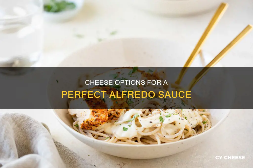 what kind of cheese to put in alfredo