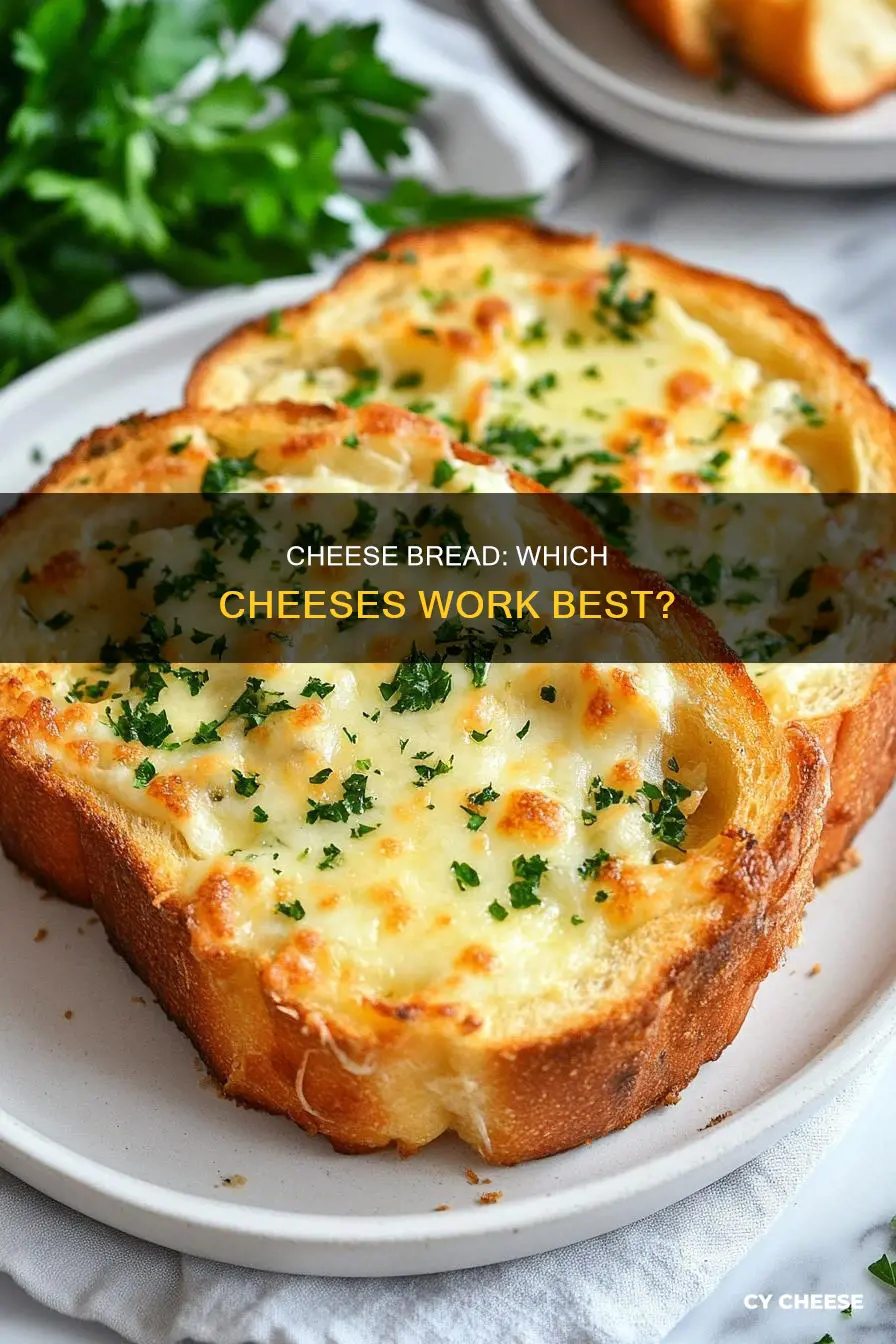 what kind of cheese to put in cheese bread