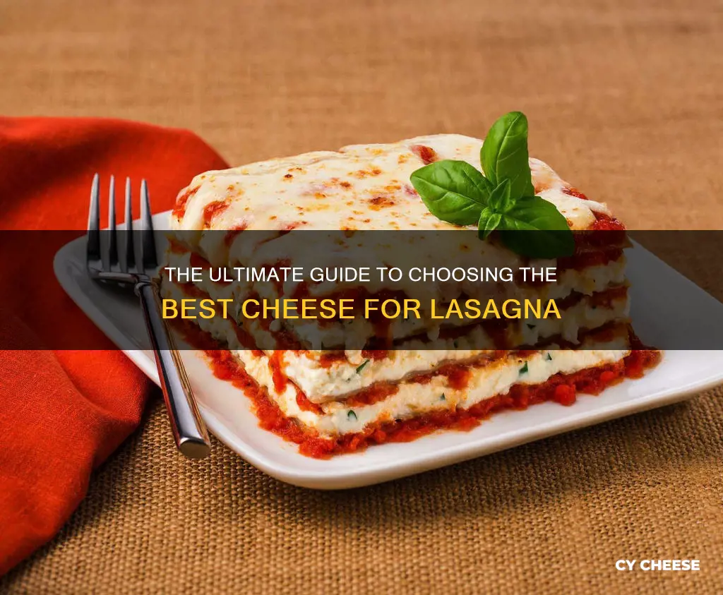 what kind of cheese to put in lasagna