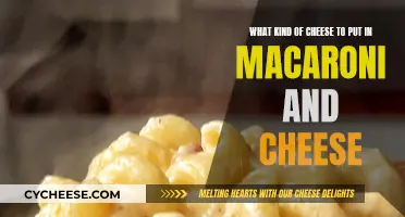 Mac and Cheese: Choosing the Perfect Cheesy Blend