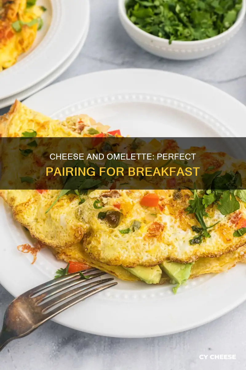 what kind of cheese to put in omelette