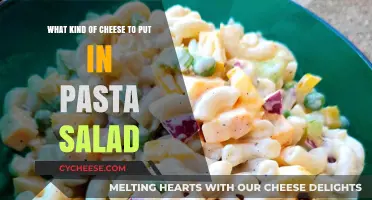 Cheese Selection Guide: Perfect Pasta Salad Companion