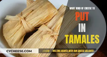Cheese Tamales: The Best Cheeses to Use
