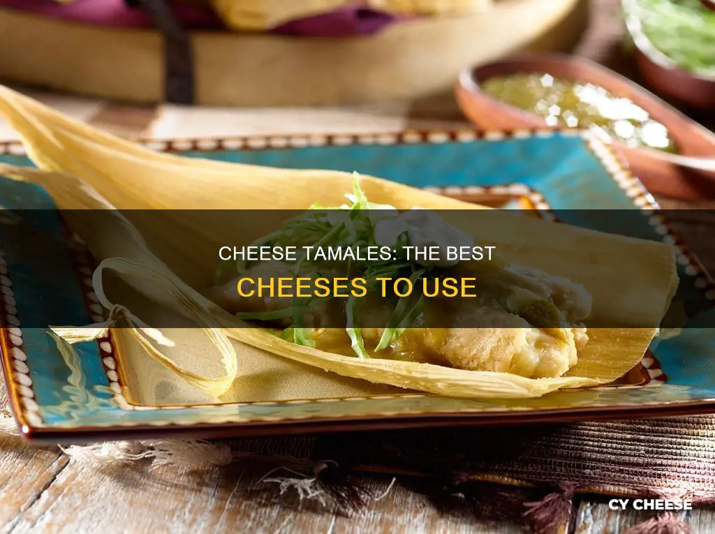 what kind of cheese to put in tamales
