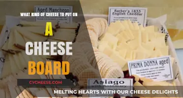 Cheese Board Bliss: A Guide to the Perfect Pairing