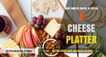 Cheese Platter Guide: The Ultimate Guide to Choosing the Best Cheeses