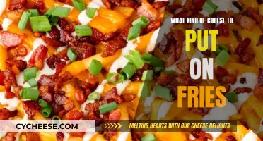 Cheese and Fries: The Perfect Melty Combination