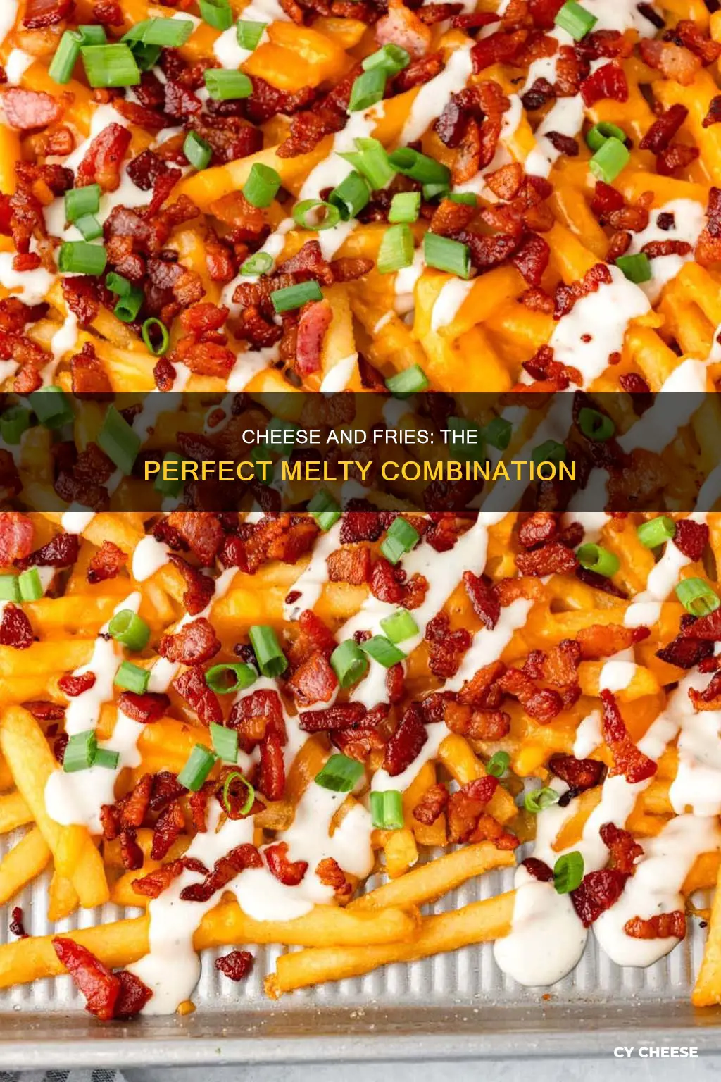 what kind of cheese to put on fries