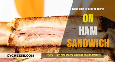 The Ultimate Guide to Cheesy Ham Sandwiches: A Match Made in Heaven