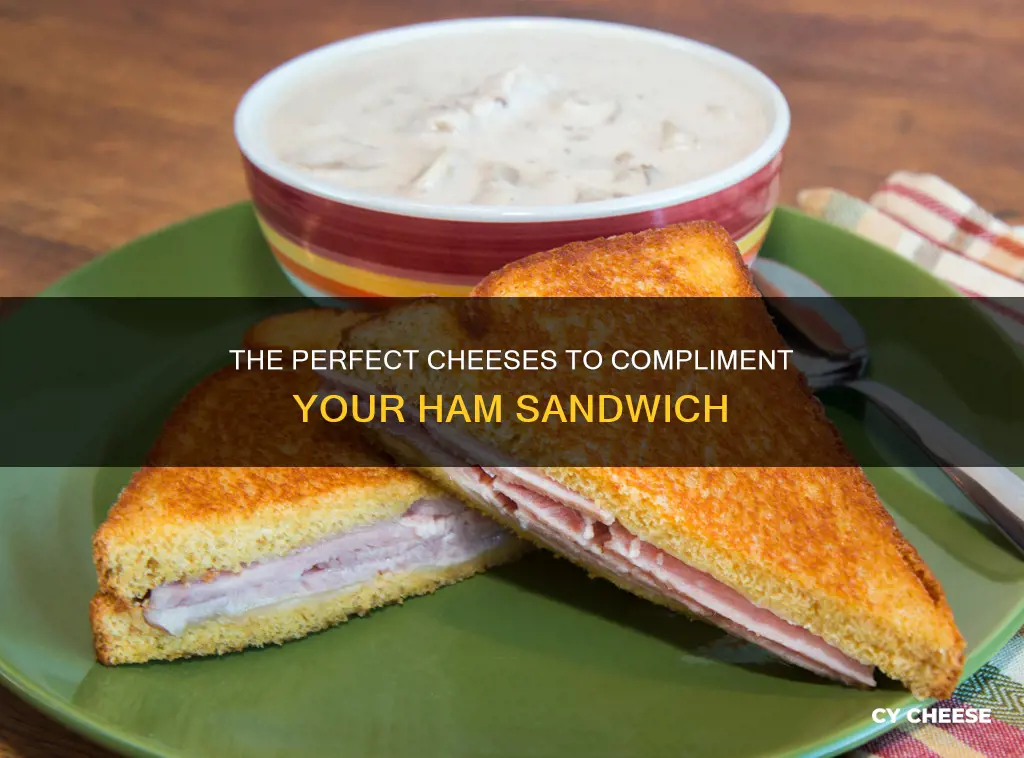 what kind of cheese to put on ham sandwich